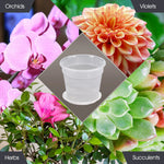 Cache-pot violet moderne pour orchidées d'intérieur