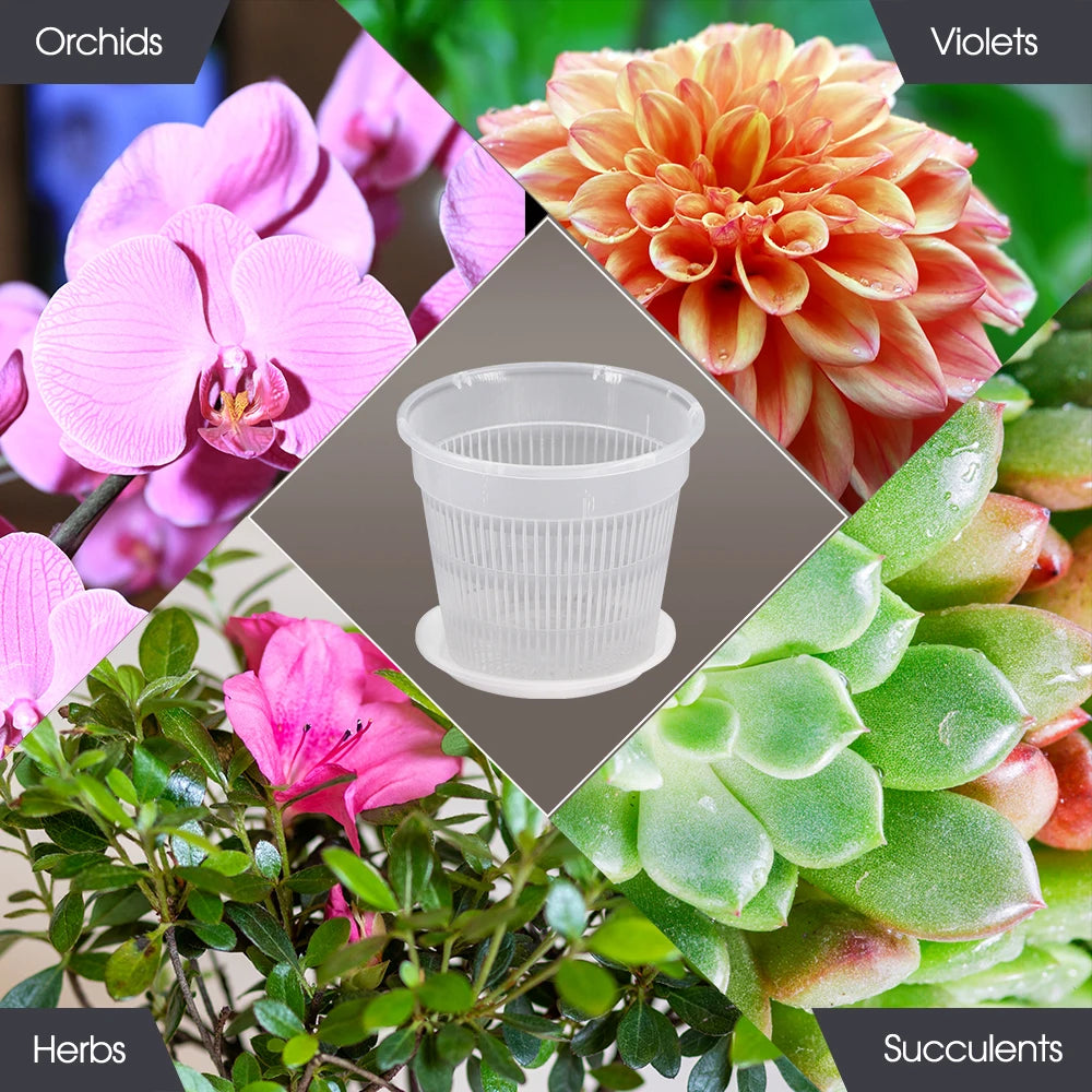 Cache-pot violet moderne pour orchidées d'intérieur