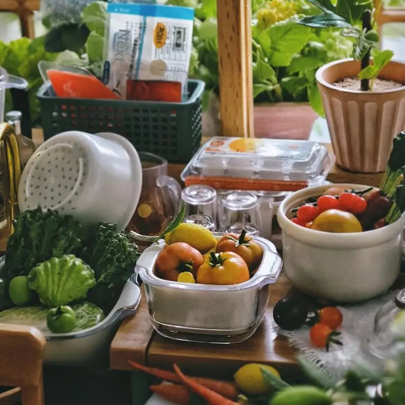 boîtes conservation alimentaires transparentes motifs fruits légumes moderne pratique blanc bleu rouge