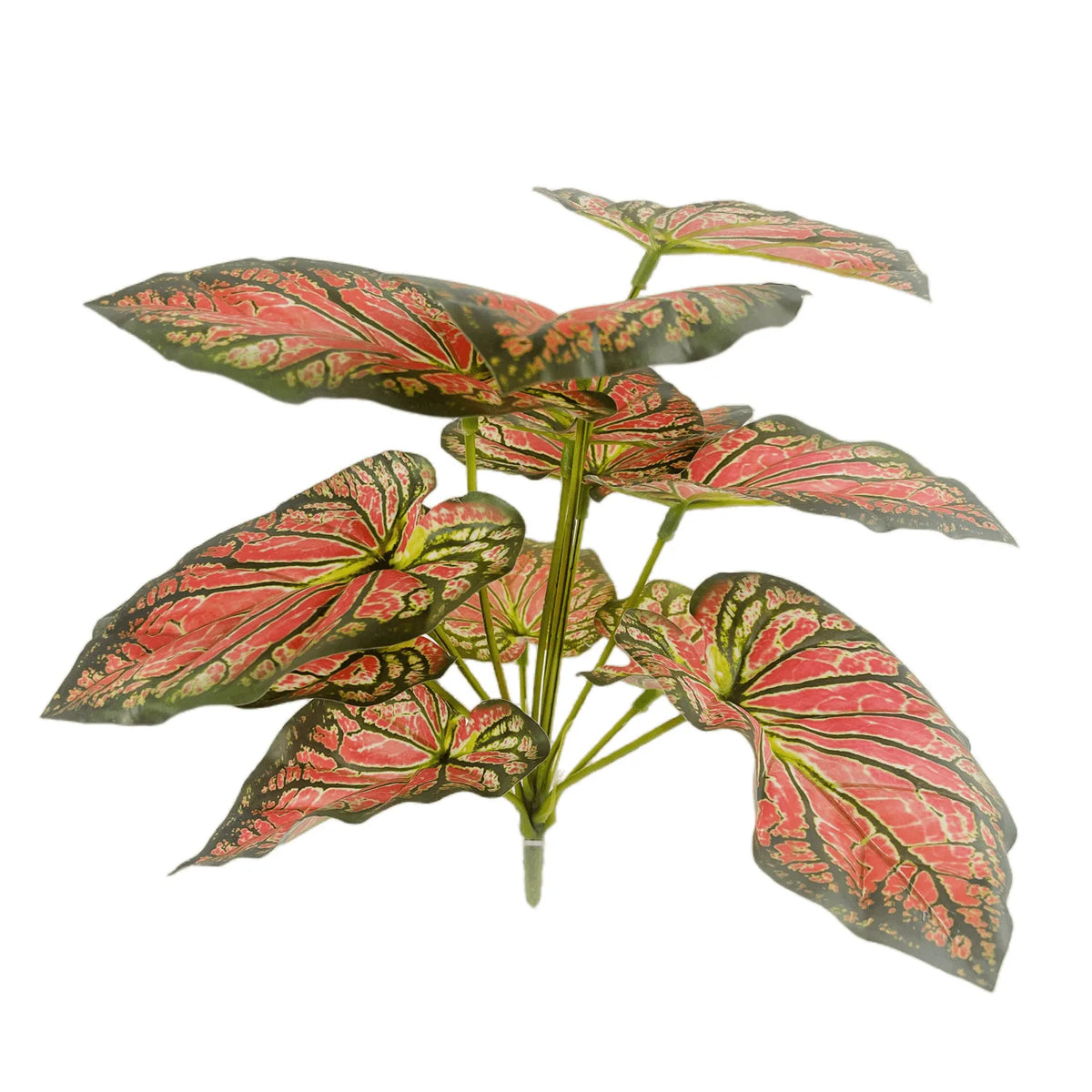 plante artificielle décorative feuilles vertes blanches rouges salon maison moderne naturel