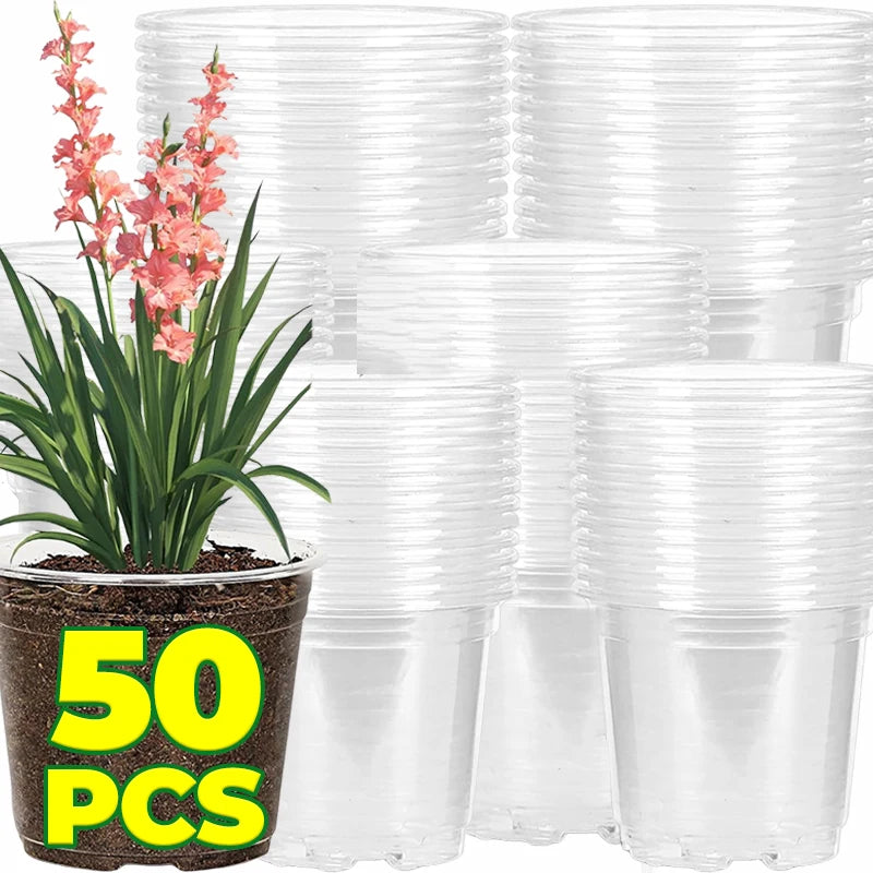 pots transparents modernes fleurs bacs pépinière drainage plastique uni okolets disponibles