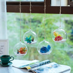 vase suspendu verre transparent moderne succulentes figurines gravier chambre saloncoration