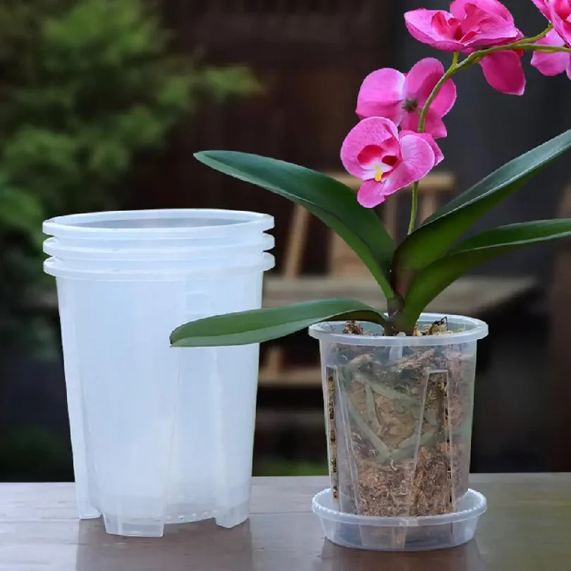 pots transparents orchidées phalaenopsis plastique modernes grille racinesControlEvents