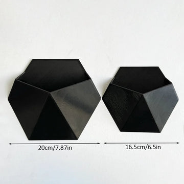 pots muraux hexagonnels noirs modernes pots plantes fixation murale géométriques transparentsintérieur
