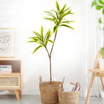 plantes artificielles arbres vertes feuilles modernes decoration exterieur pot blanc sol brunes