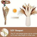 bouquet fleurs séchées naturel plumes pampa beige rustique décoration intérieure anniversaire baby shower mariage