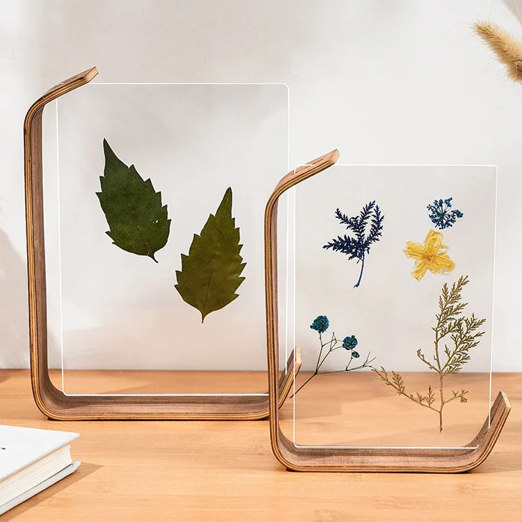 support livre transparent feuilles séchées fleurs séchées moderne minimaliste