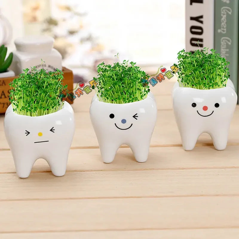 pots céramique porcelaine forme dents plante verte expression faciale decoration mignonne originale