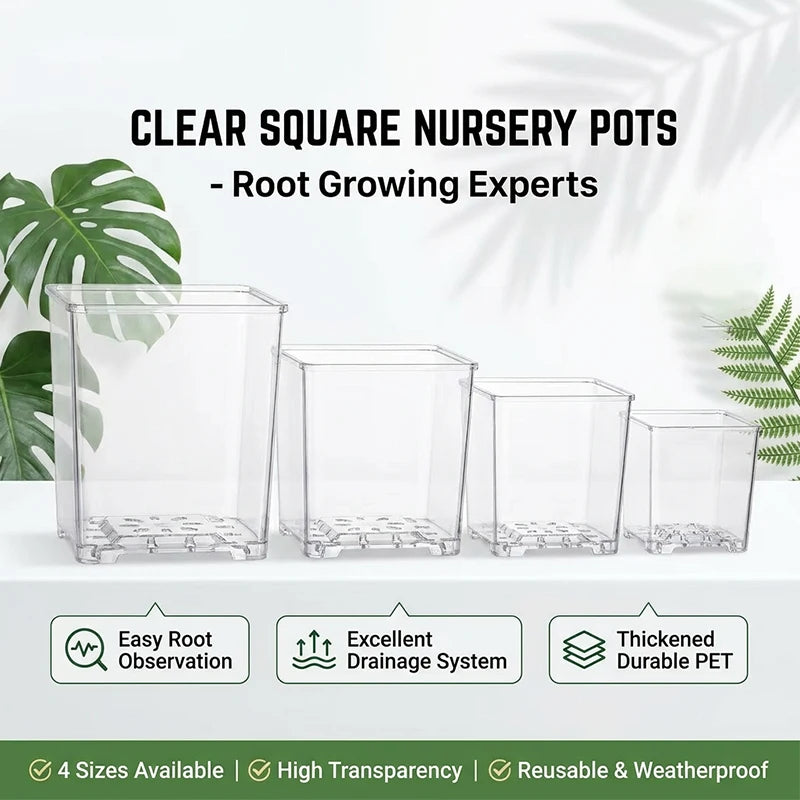 pots fleurs transparents modernes drainage rapide aération souffle moderne fonctionnel