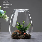 terrarium verre transparent plantes artificielles décoration miniature intérieur moderne décoratif