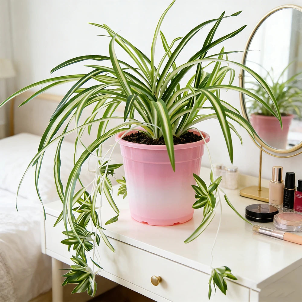 décoration intérieure plante verte pot couleur feuilles longues PVC suspension chambre salon