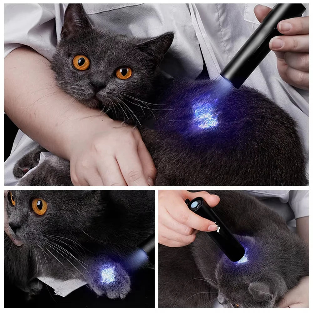 lampe uv rechargeable flashlight 365nm test fluorescence chat toupie monnaie moderne utilitaire