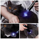 lampe uv rechargeable flashlight 365nm test fluorescence chat toupie monnaie moderne utilitaire