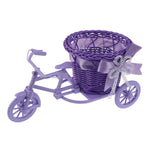 Support plante tricycle bleu sur table