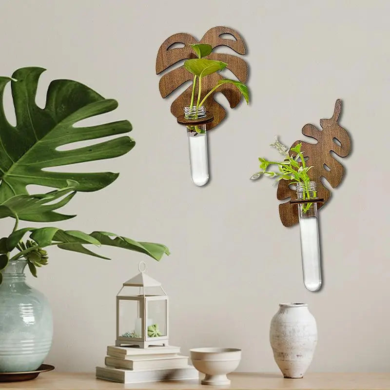 support mural plante feuille monstera verre transparent adhésif moderne minimaliste bois naturel vert