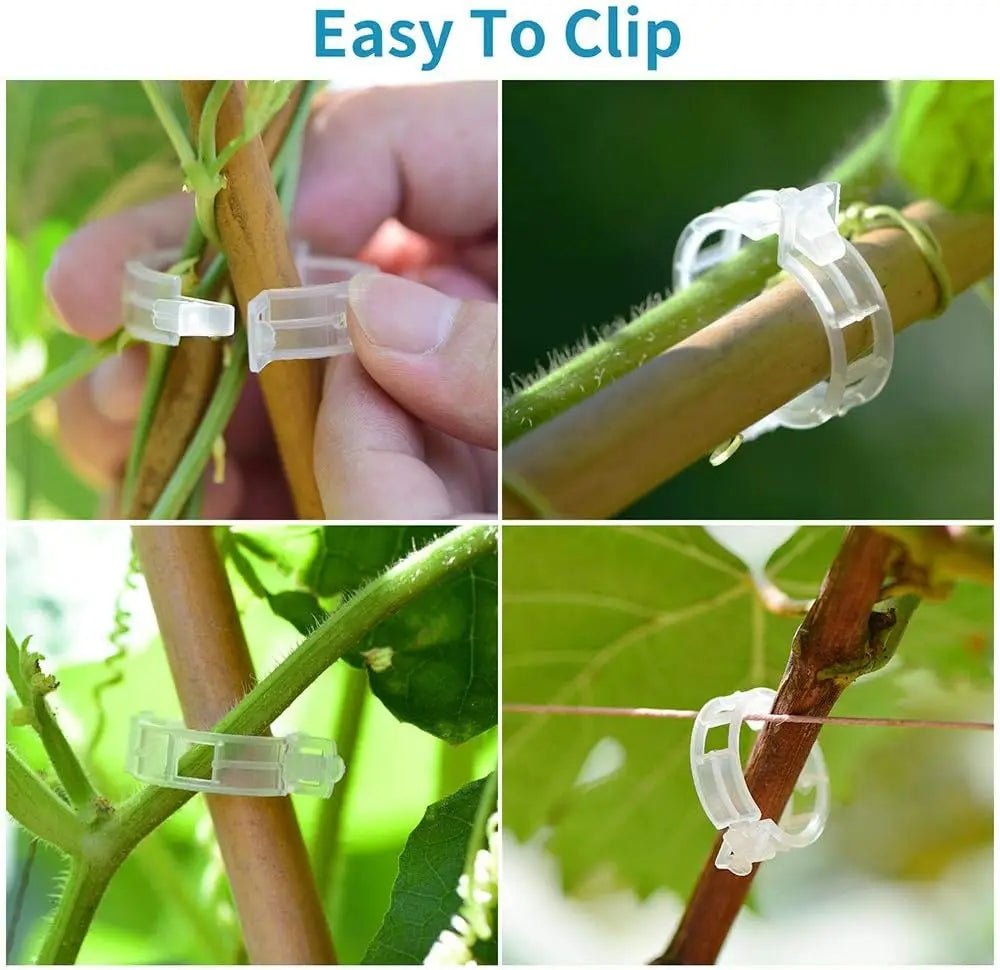 clips végétation transparent clips plastique utilitaire jardin 100pcs 200pcs 300pcs 500pcs 50pcs fixations