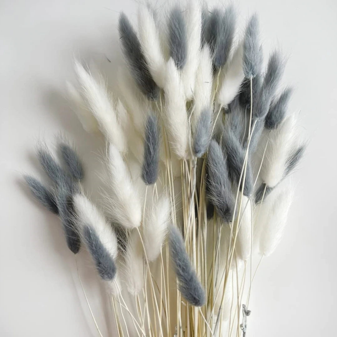 décoration boho plumes séchées naturelles mix beiges roses grises anniversaire maison
