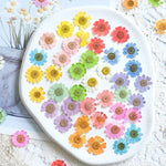 fleurs séchées multicolores bijoux résine décoration ongles maison intérieure artisanal anniversaire naturelles