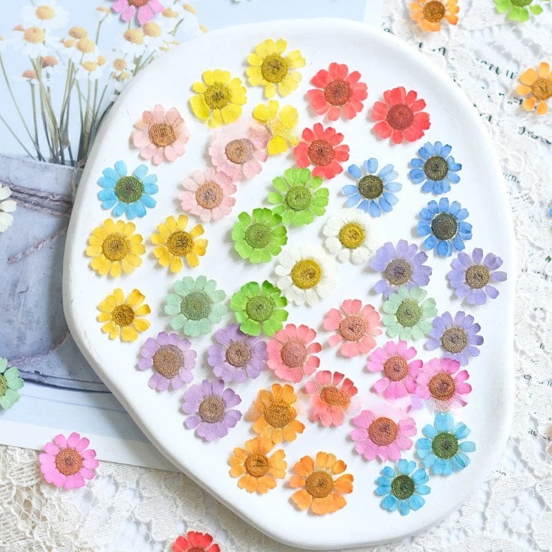 fleurs séchées multicolores bijoux résine décoration ongles maison intérieure artisanal anniversaire naturelles