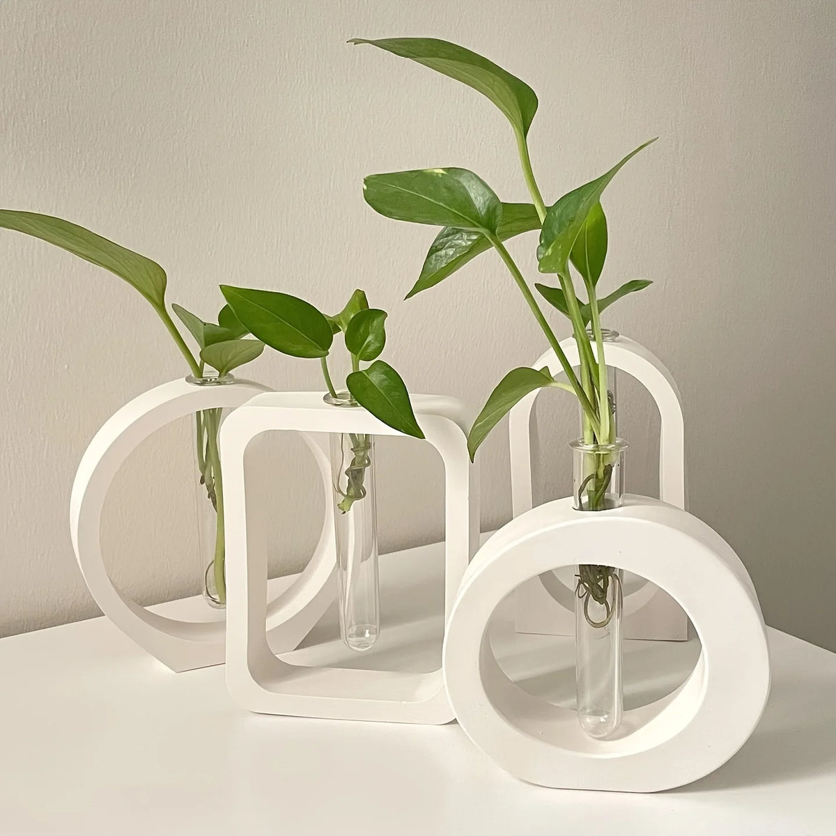 vases céramique blancs vases silicone tubes essai plateau compartiments hydroponiques fleurs modernes