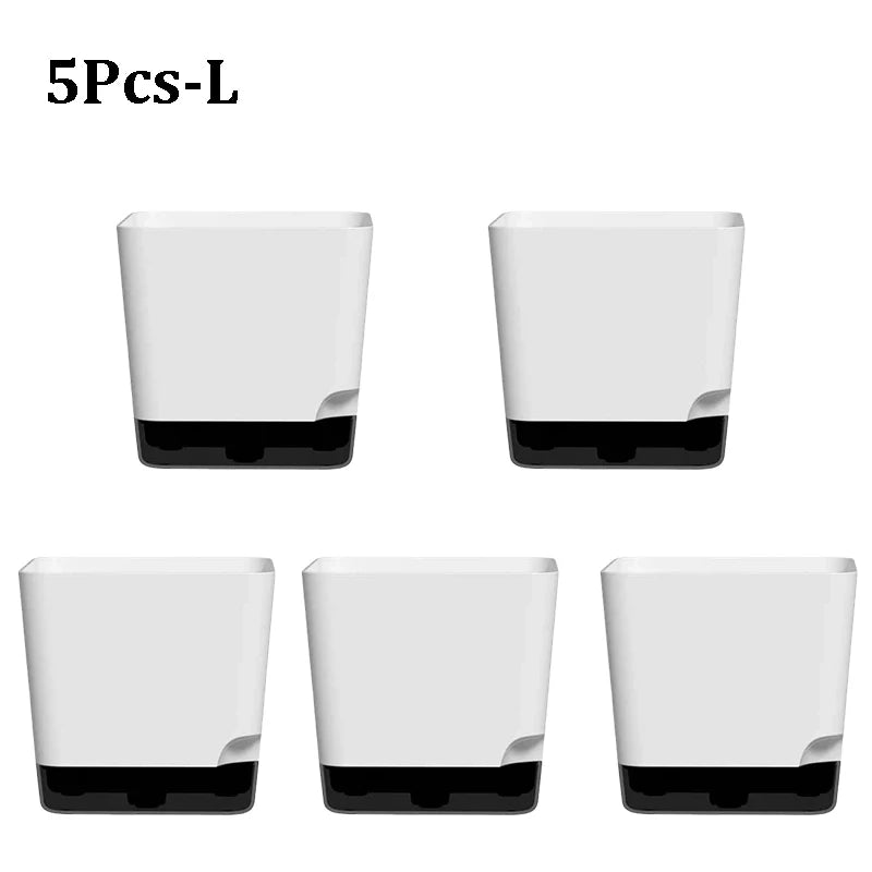 pots plantes succulentes auto arrosage drainage soucoupe transparent moderne minimaliste