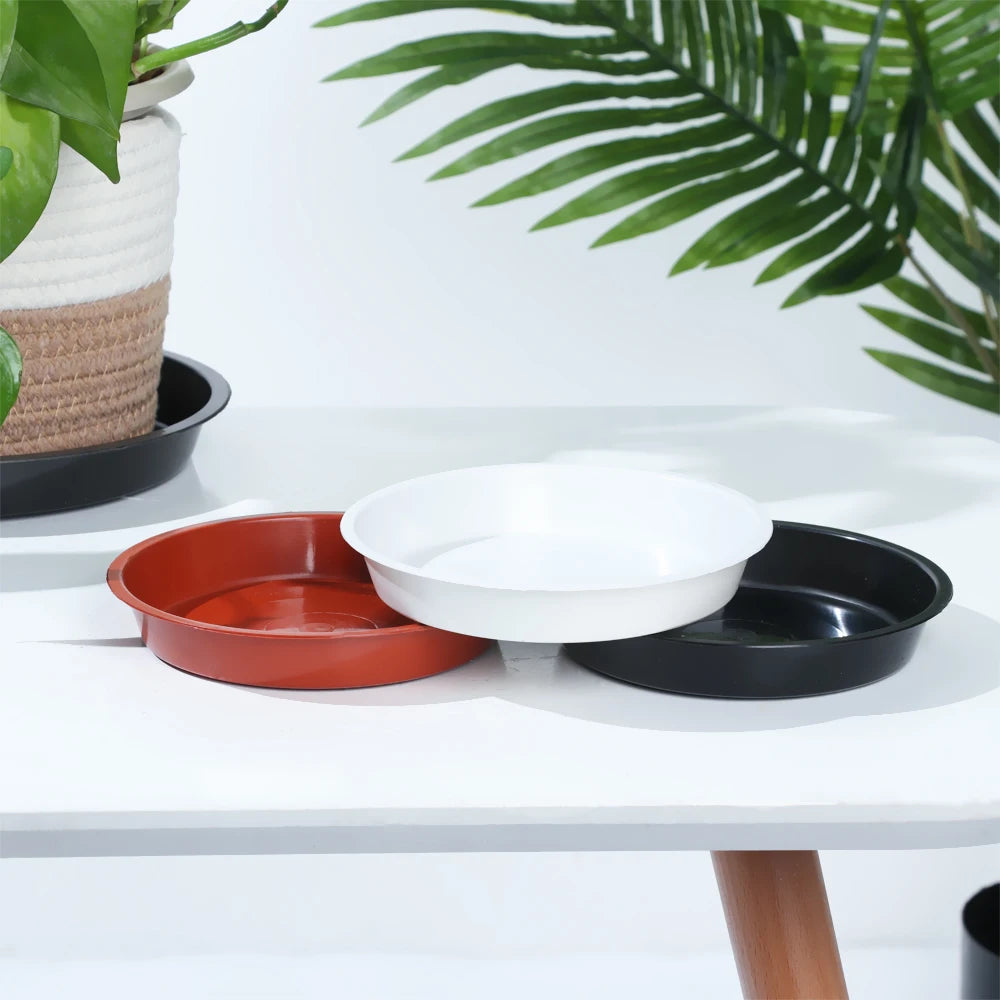 assiettes plantes noires rouges blanches modernes 10 cm