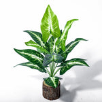 plantes artificielles monstera vert feuilles larges modernes decoration exterieure tronc bois pot ceramique