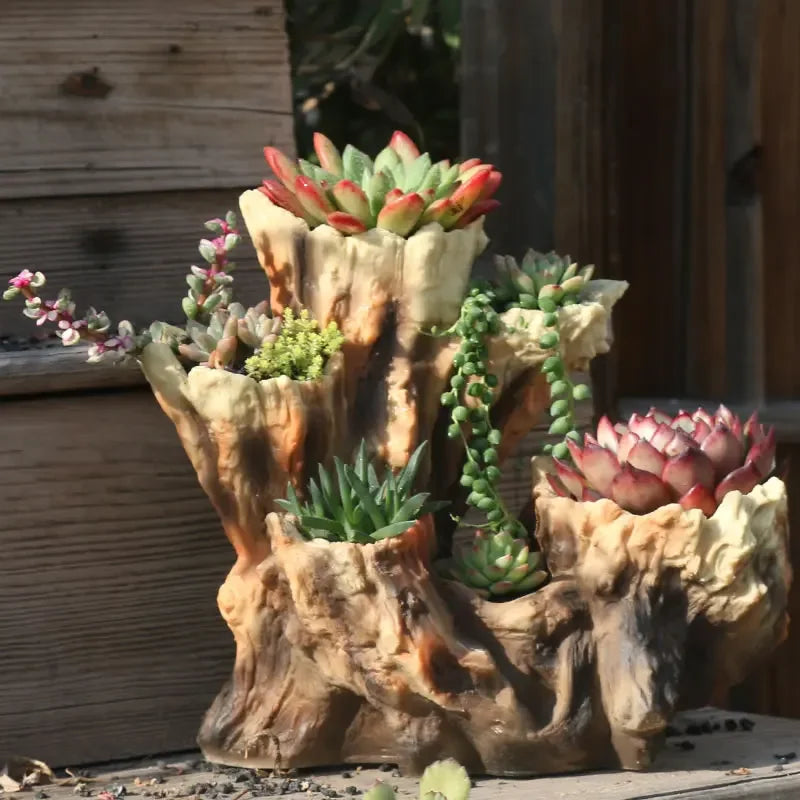 support plantes succulentes pot porcelaine rustique ornements décoration extérieure vases sculptés main