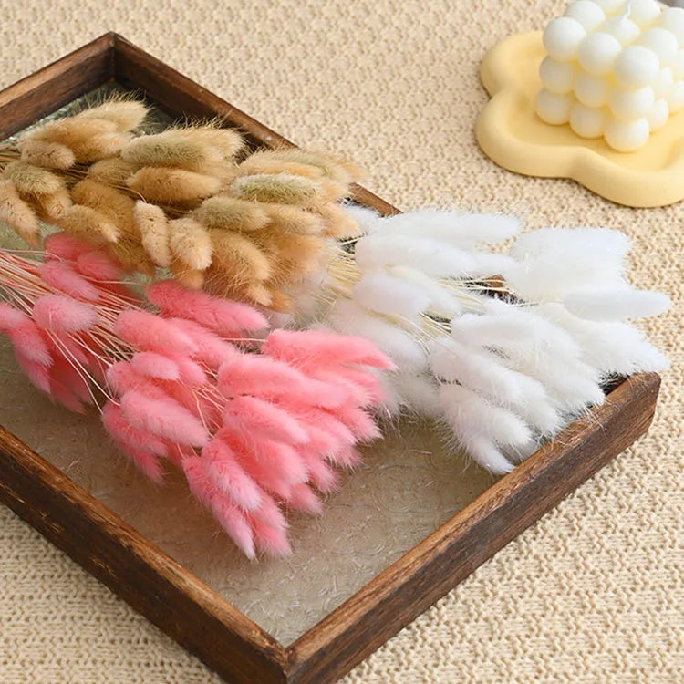 décoration intérieure bouquet fleurs sèches plumes modernes rose blanc vert pastel