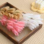 décoration intérieure bouquet fleurs sèches plumes modernes rose blanc vert pastel