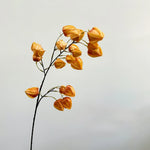 bouquet artificiel orange bleu rouge vert feuilles coeurs moderne intérieur decoration 98CM