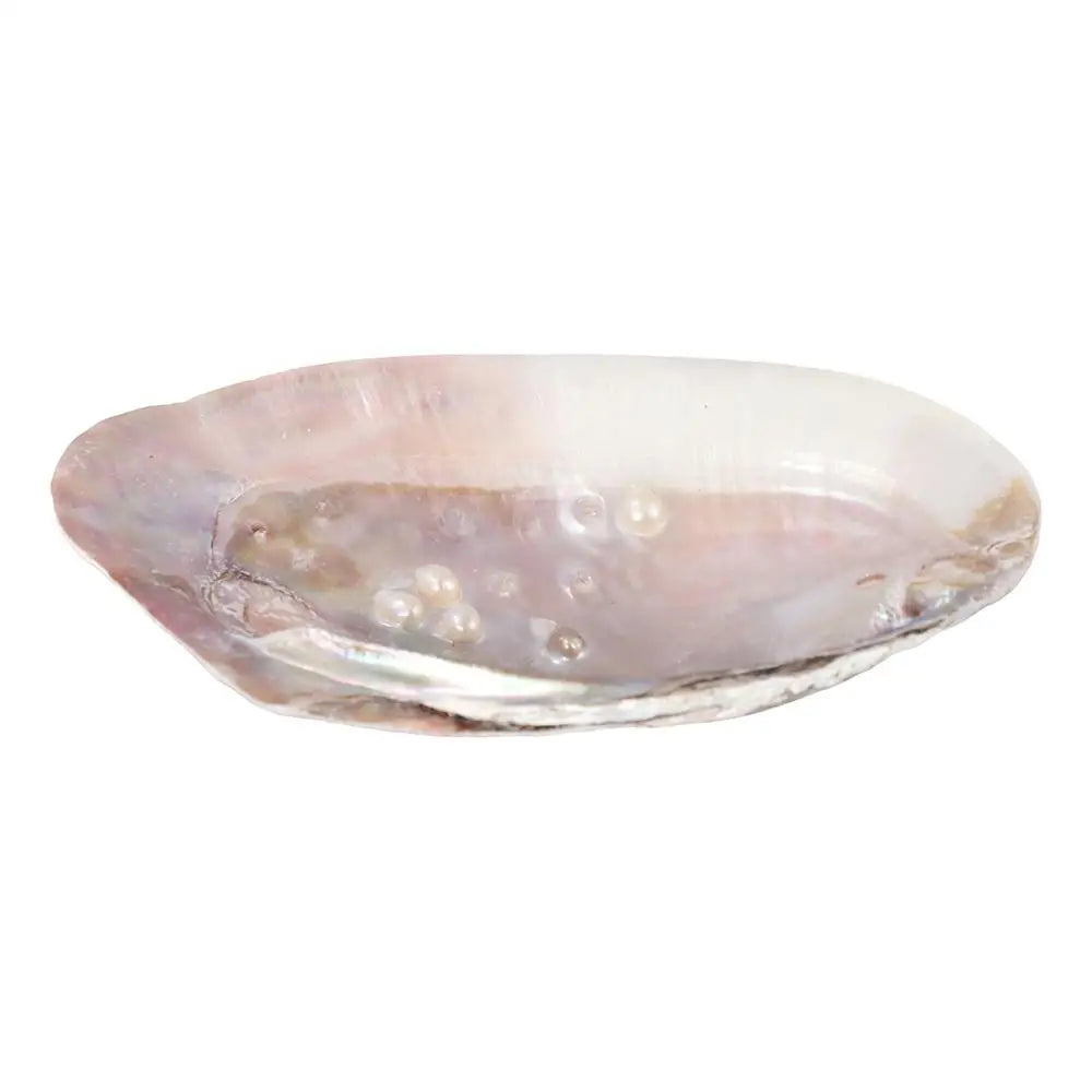 plateau rangement bijoux coquillage forme naturelle couleurs rose beige blanc iridescent minimaliste maison