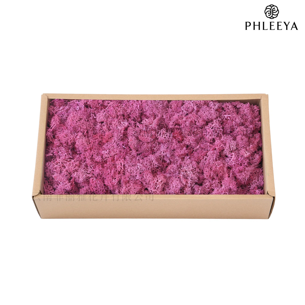 mousse séchée naturelle décorative fleurs séchées rustiques vert rose bleu violet maison intérieur