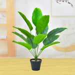 plantes artificielles ficus lyrata vertes modernes feuilles larges ovales tropicales décoration intérieure extérieure