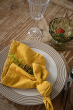 lot 50 serviettes cuisine coton bleu clair clips dorés table