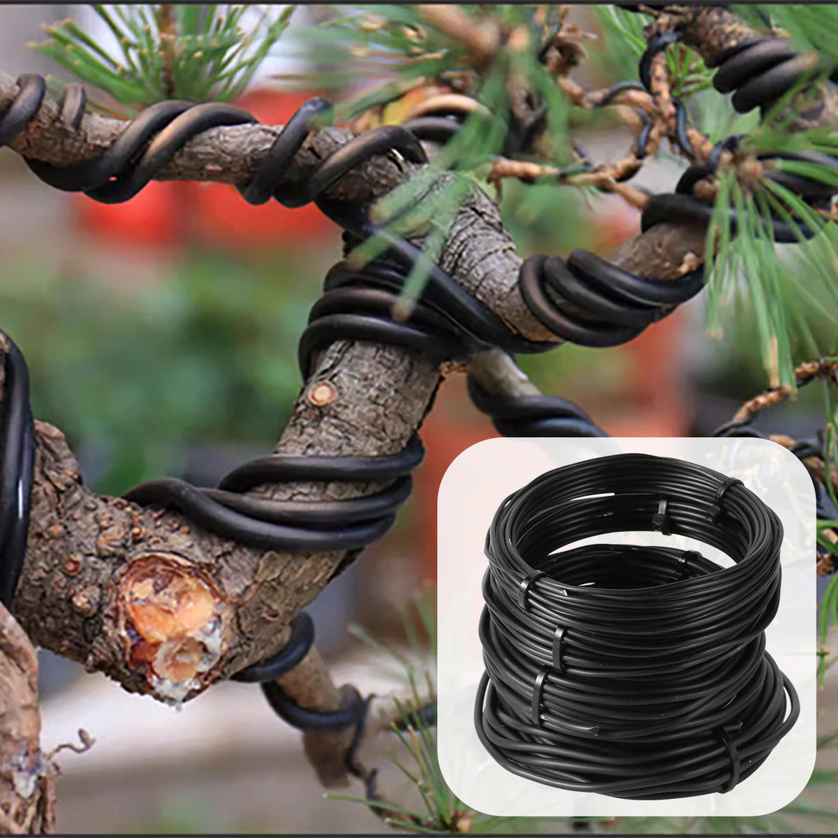 fil jardinage métal 2.5mm 5m 3.0mm 5m 2.0mm 10m 1.5mm 1.0mm noir lisse opaque