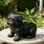 cache pot forme chien noir blanc marron texture résinée moderne intérieur extérieur plantes succulentes
