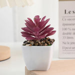 plantes succulentes artificielles vert rouge marron moderne minimaliste intérieur décoration maison