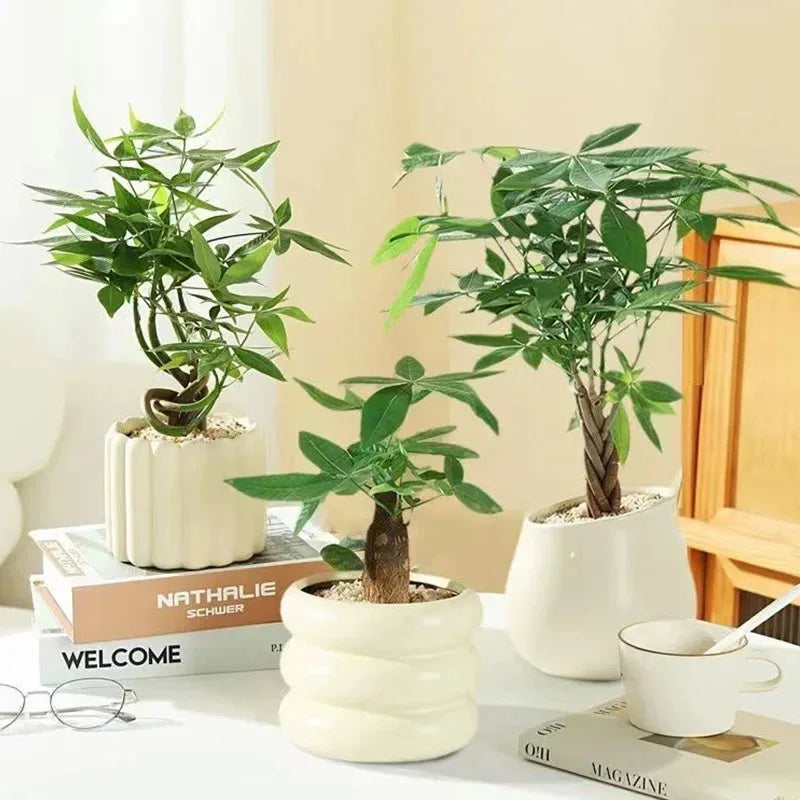 pots fleurs céramique scandinave décoration intérieure moderne minimaliste plantes cactus tulipes ornementnels blanc crème