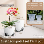 pots orchidées modernes blancs transparents 15cm 12cm 10cm aircone racines rebondissement