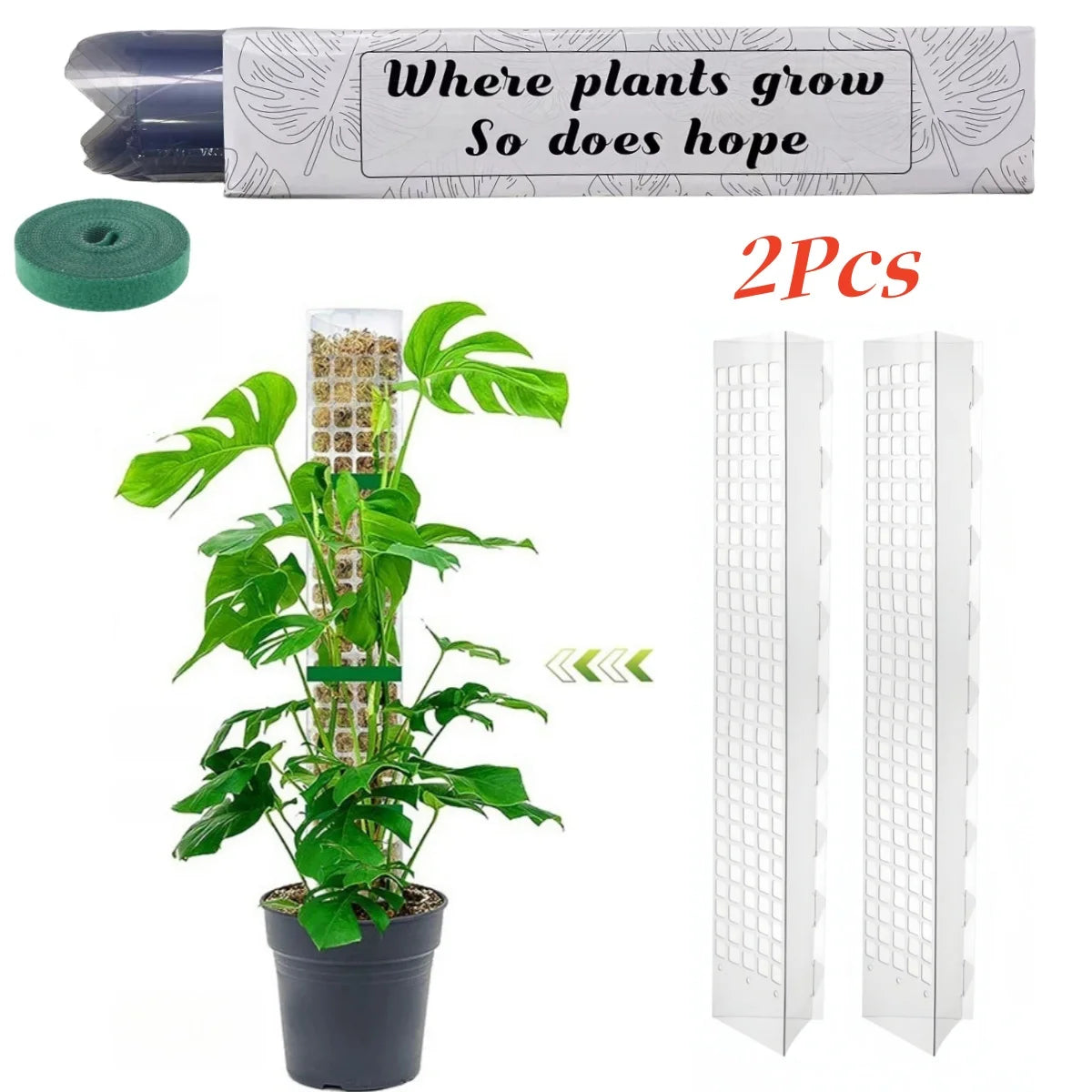poteau mousse plastique transparent moderne 24 pouces adhésif support plante grimpanteintérieur