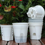 pots fleurs noirs blancs modernes couvercles perforés tailles diverses hydroponie jardinage