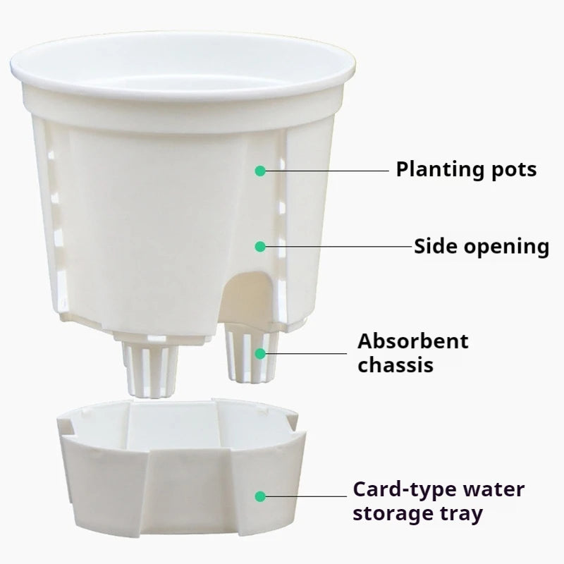 pots plantes auto arrosants transparents moderne blanc plateau d'eau