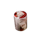 ruban décoratif vintage multicolore fleurs papillons lettres illustré 50mm longueur 2mètres