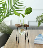 vase verre transparent support bois industriel moderne plante hydroponique décoration intérieure minimaliste