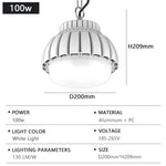 Lampe industrielle moderne LED haute luminosité blanc chaîne fixée robuste économe énergie