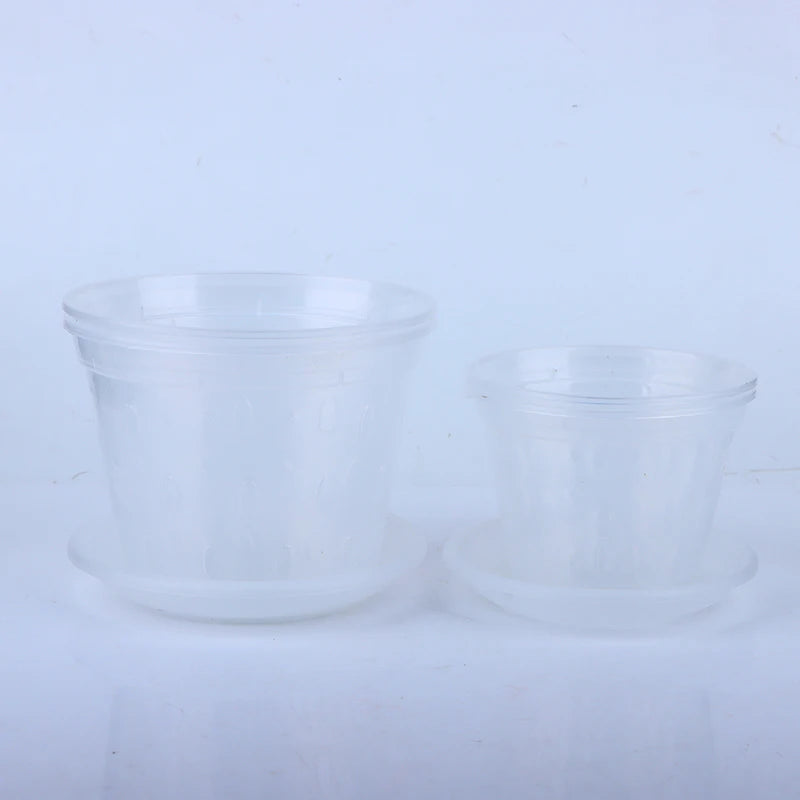 pots semis transparents perforés pratique plateau fleur verte plastique moderne