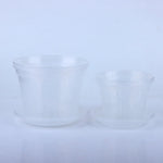 pots semis transparents perforés pratique plateau fleur verte plastique moderne