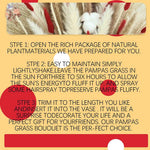 Bouquet fleurs séchées pampas blanche rouge décoration maison anniversaire boho festive
