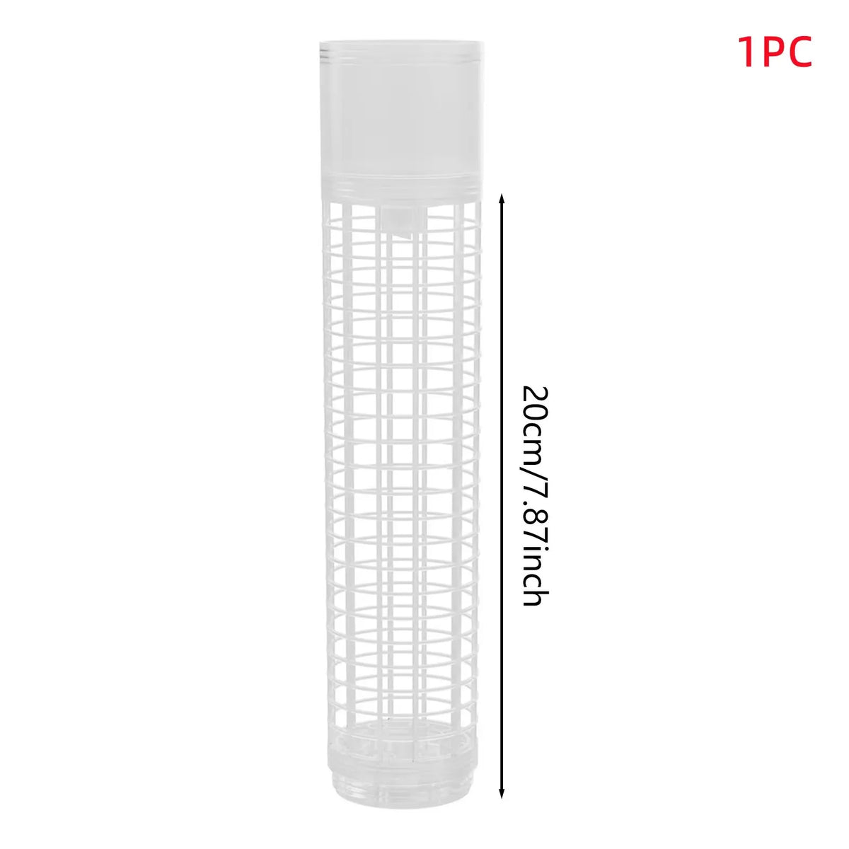 support plantes intérieur irrigation monstera adhésif conteneur eau gravier mousse terre modernes transparents